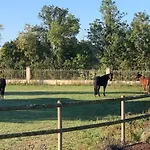 Maisonnette Proche Bord De Loire Апартаменты Saint-Julien-de-Concelles